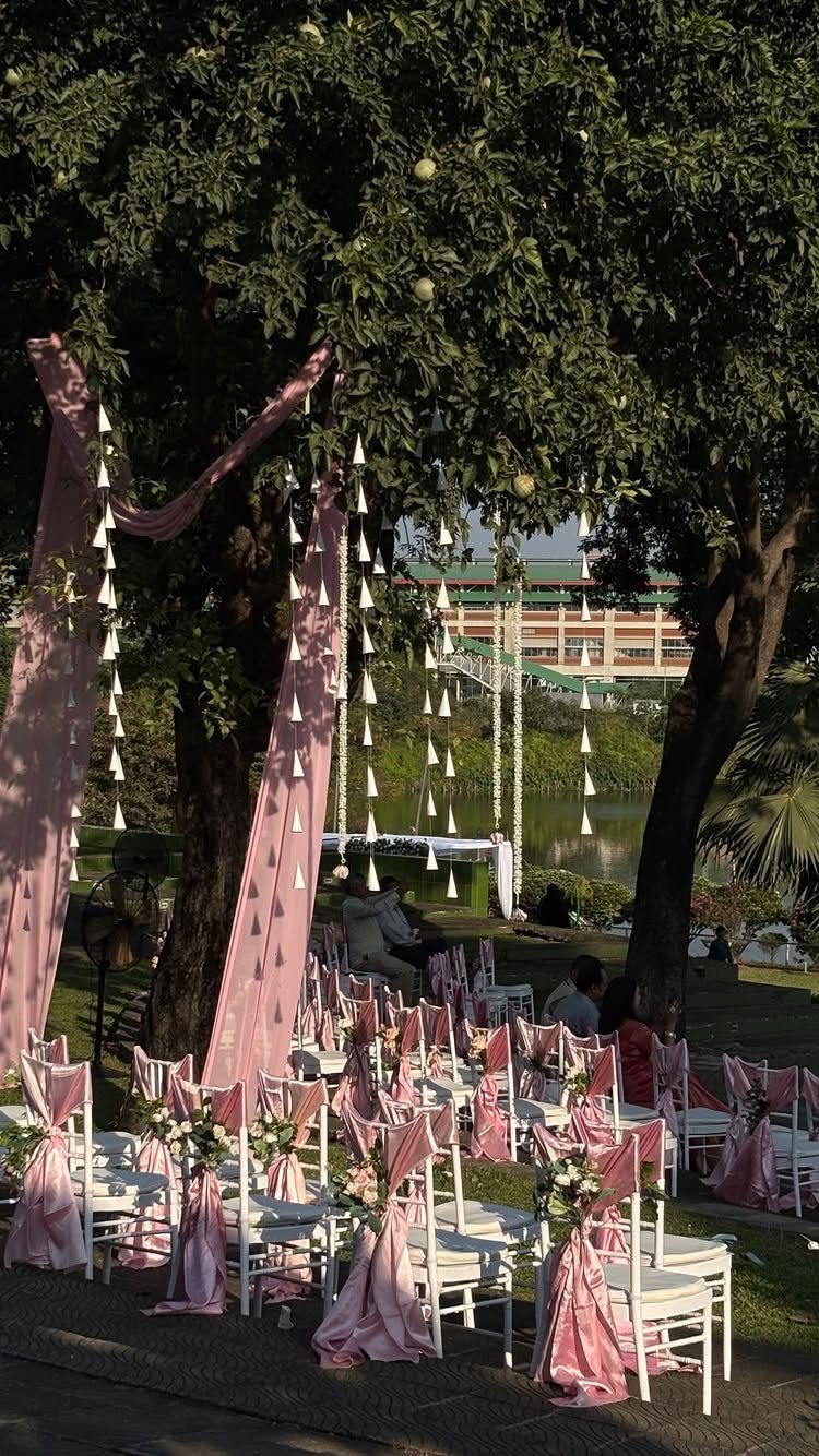 Outdoor wedding ceremony setup with white chairs, pink sashes, and draped fabric under trees.