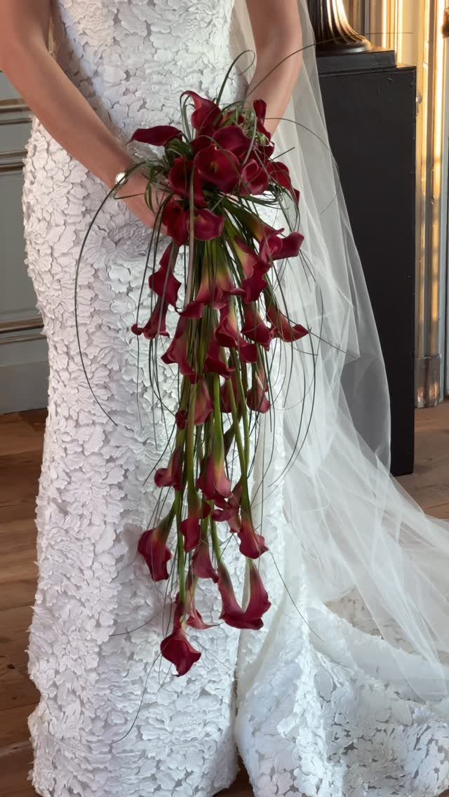 Cascading bouquet of deep red calla lilies held by a bride in lace dress