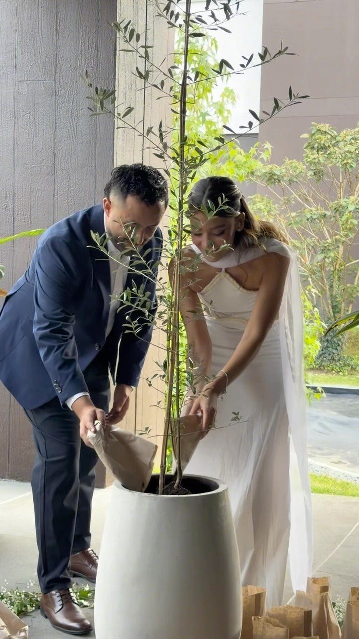 Bride and groom planting a small tree in a white pot together outdoors.