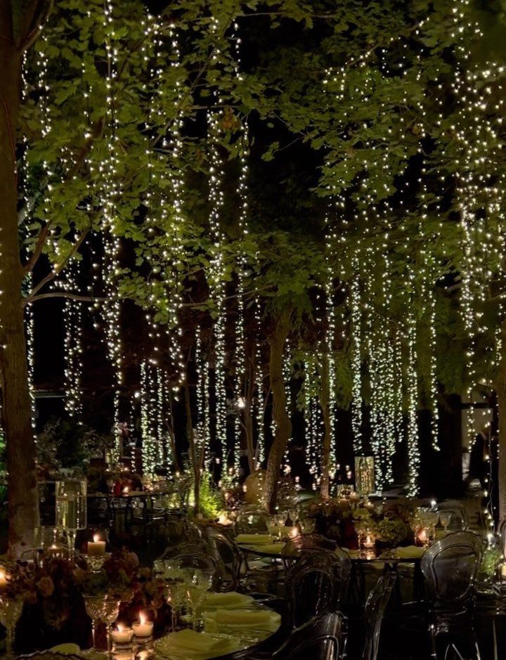 Outdoor wedding reception with vertical fairy lights hanging from trees over dining tables