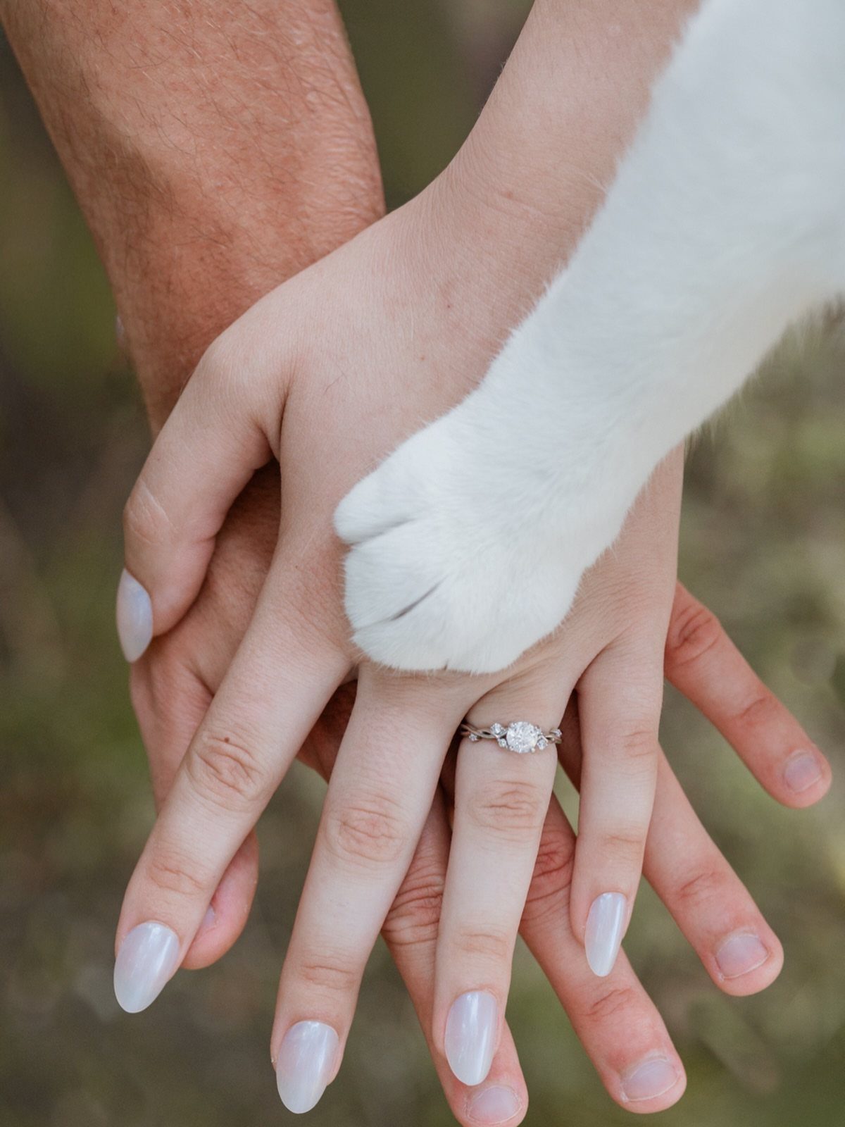 Stacked hands of a couple and a white dog paw featuring an engagement ring