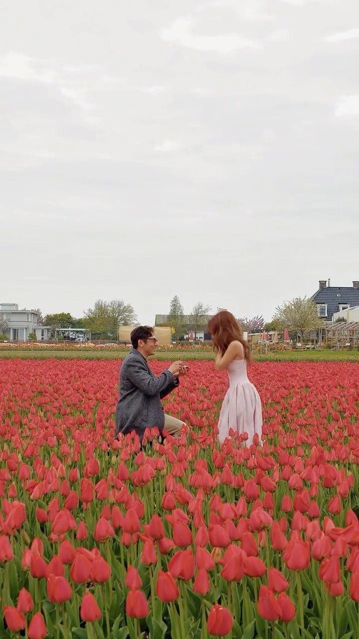 Man kneeling and proposing to a woman in a field of red tulips.