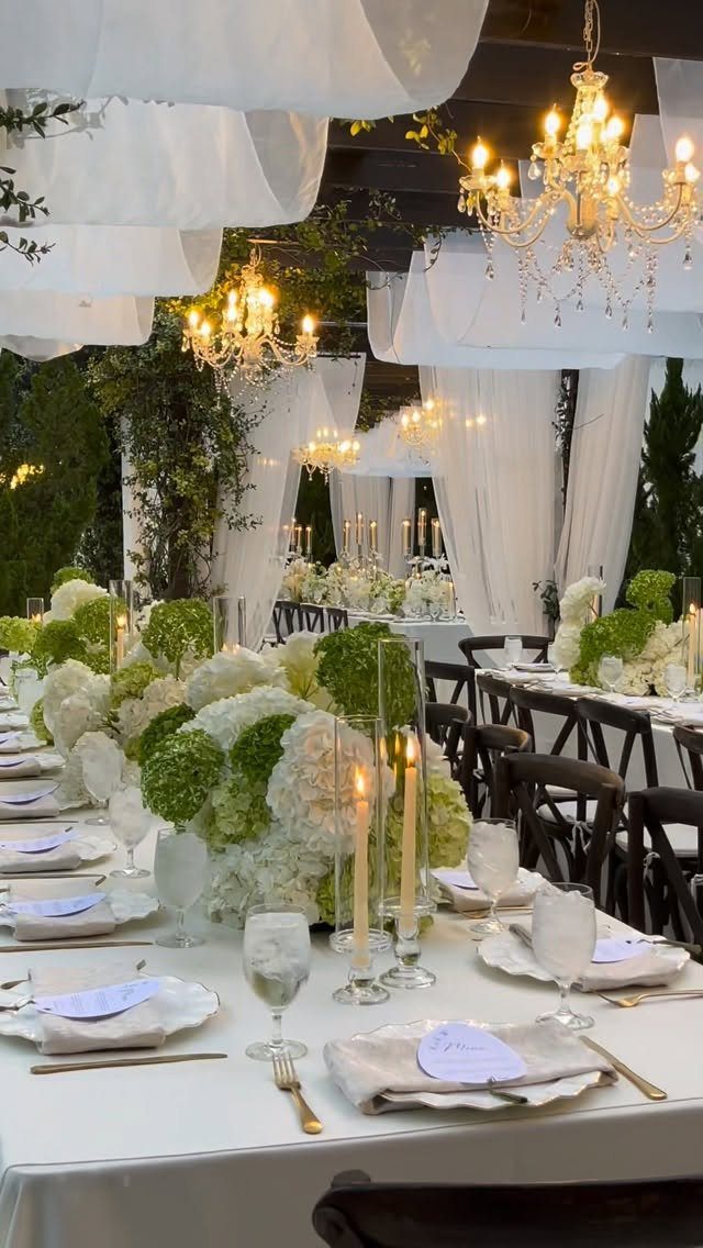 White and green hydrangea floral centerpieces on a decorated outdoor wedding table.