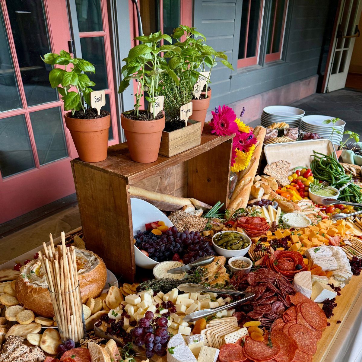 Charcuterie spread with cheeses, meats, and grapes accented by potted basil plants.