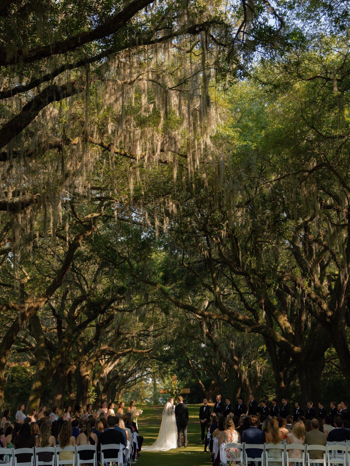 Wedding ceremony under oak trees with Spanish moss and guests in white chairs