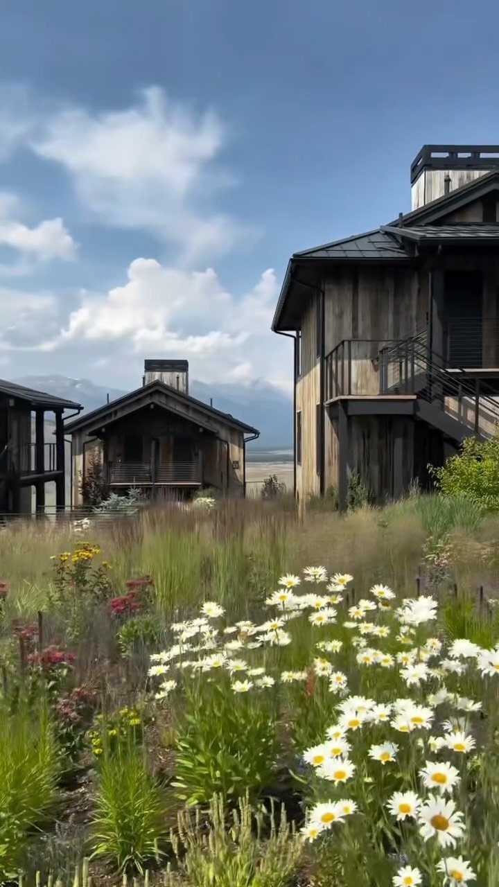 Rustic wooden cabins overlooking a field of white daisies and wild grass.