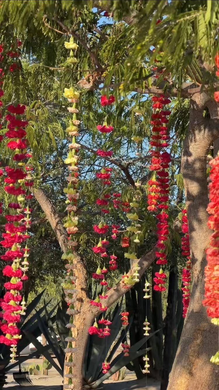 Red and yellow floral garlands hanging from a tree in a sunny outdoor setting.