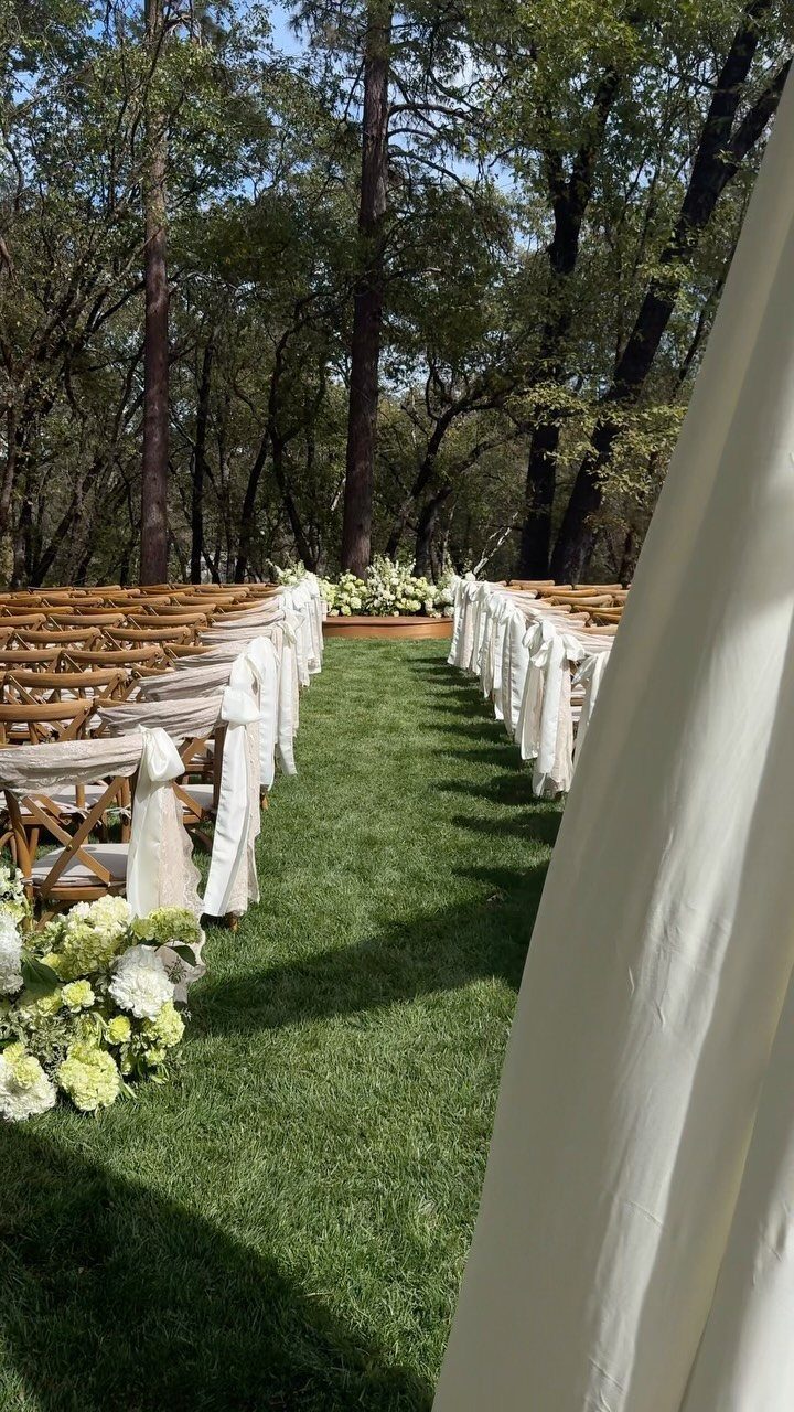 Wooden wedding chairs with white sashes lining a grassy aisle in a forest
