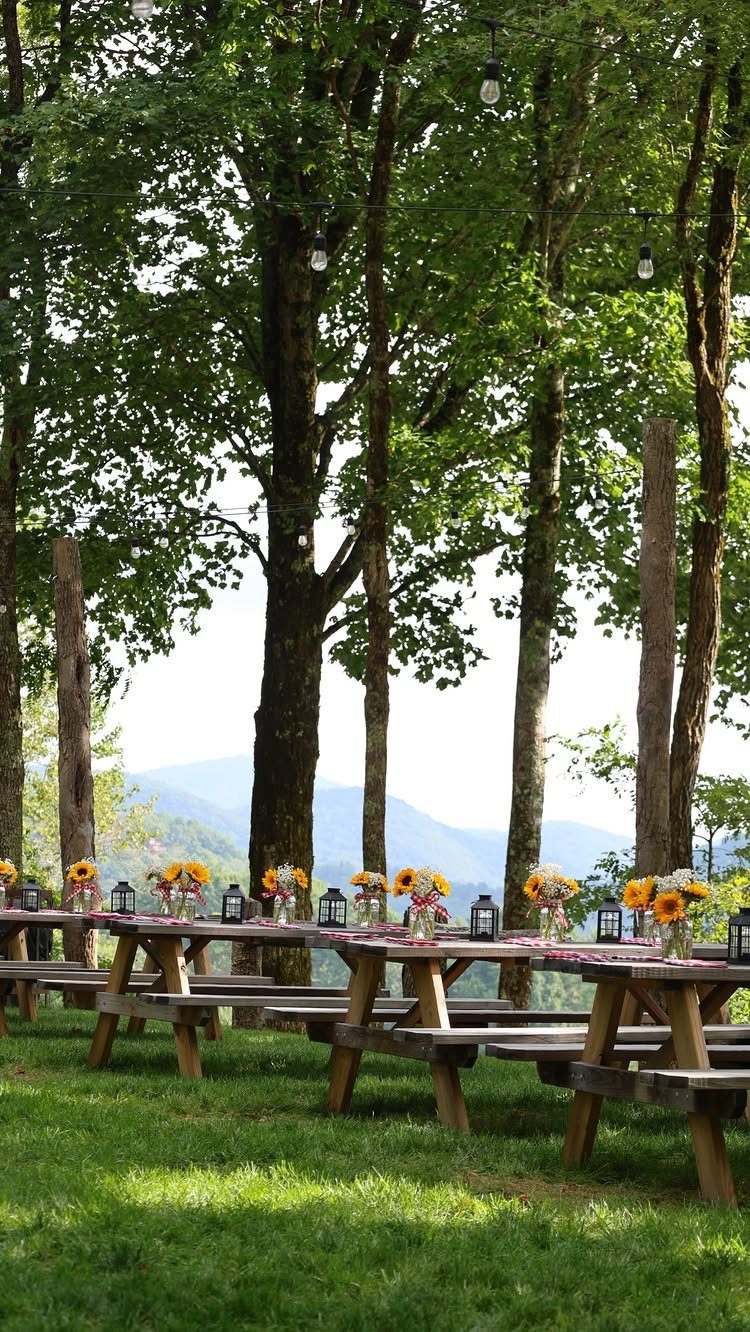 Wooden picnic tables decorated with sunflowers and lanterns in a scenic mountain forest setting