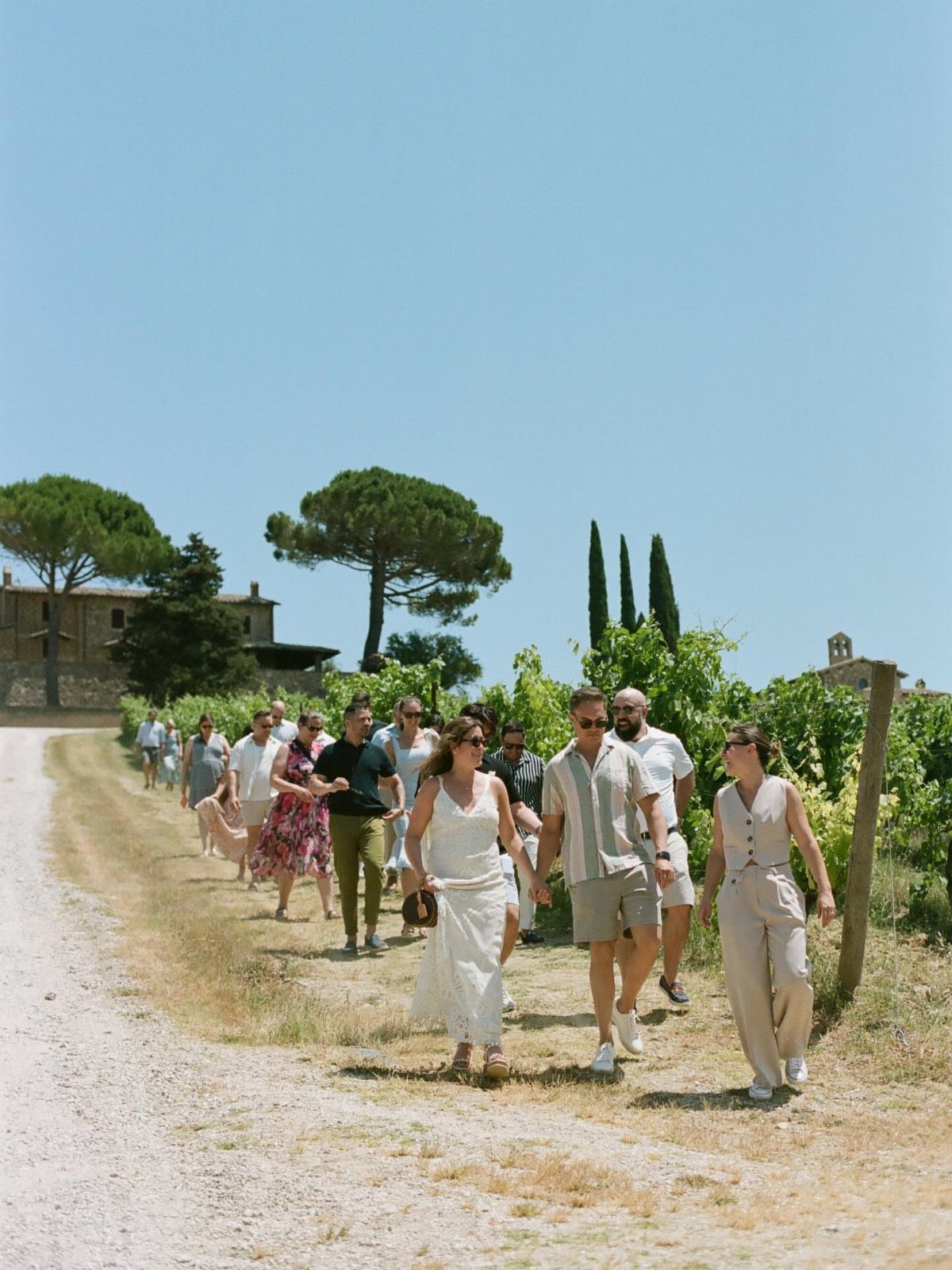 Group of people walking through a sunny vineyard on a dirt path.