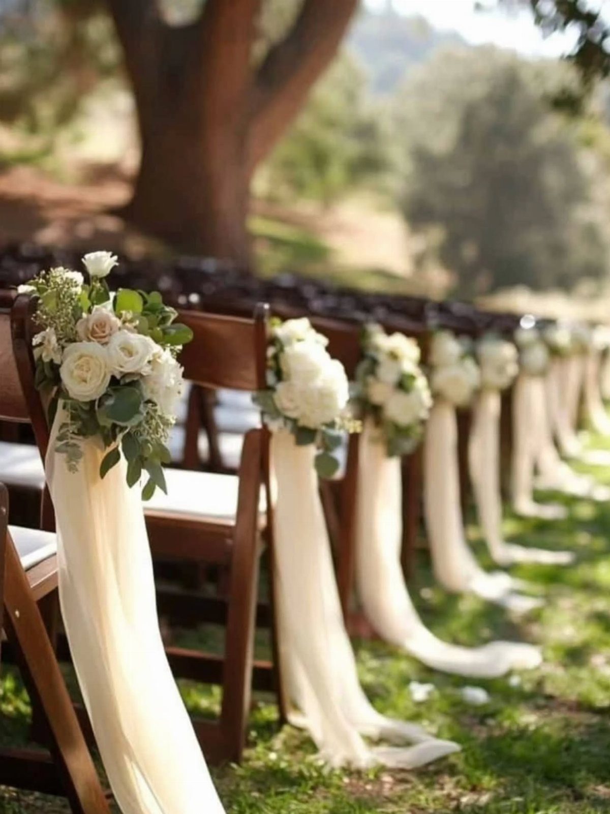 Wooden wedding chairs decorated with white rose bouquets and flowing white fabric drapes.