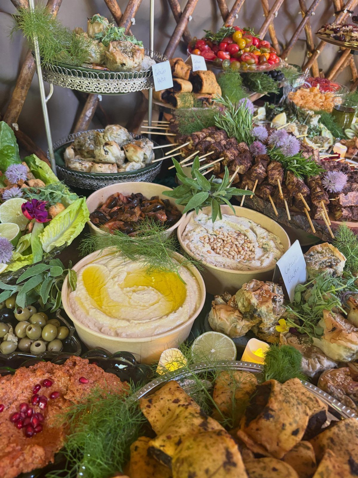 Mediterranean appetizer spread with hummus, meat skewers, and stuffed grape leaves on a table.