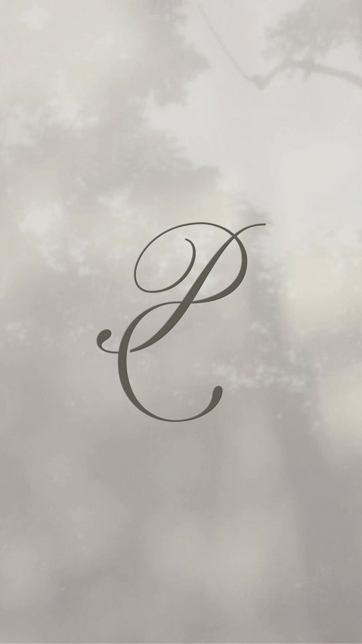 Elegant cursive letter P monogram centered on a soft blurred grey background