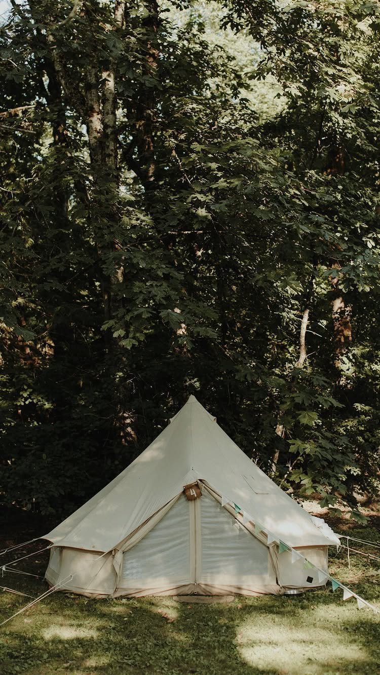 Cream bell tent pitched on grass surrounded by a lush green forest.