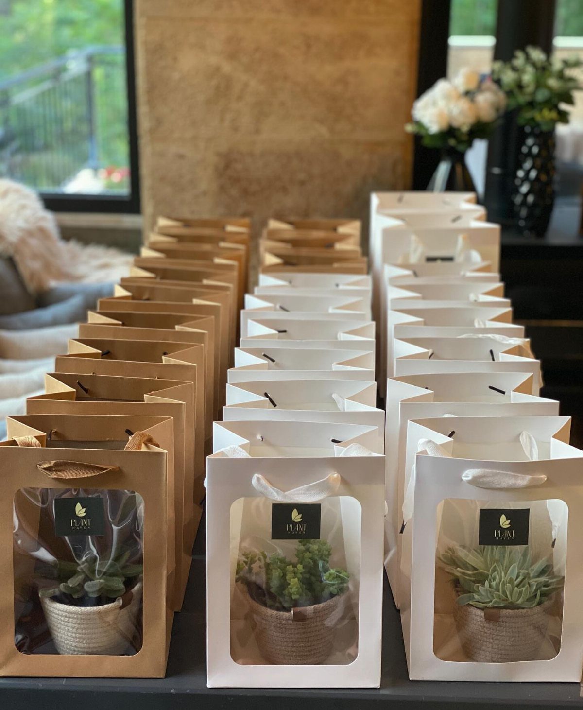 Small succulent plants in twine pots inside brown and white gift bags.