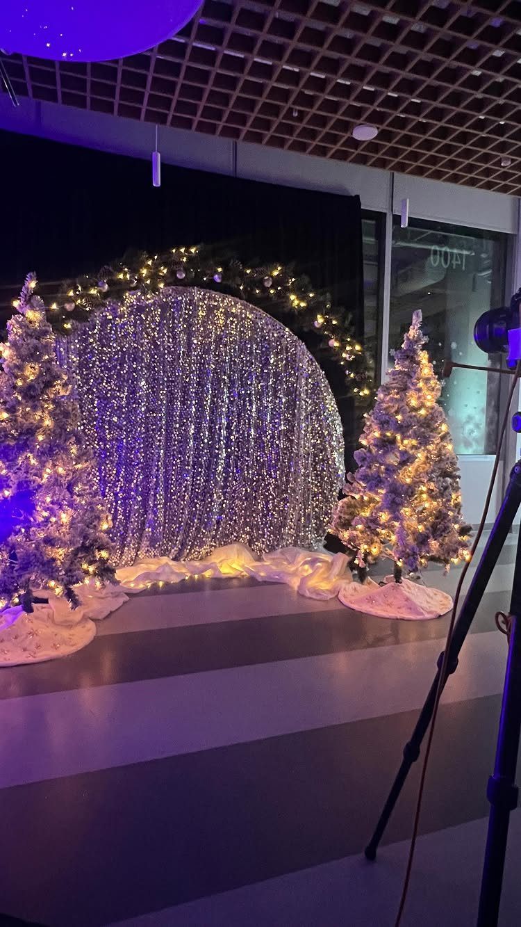 Winter wonderland photo booth with silver tinsel backdrop, fairy lights, and frosted trees.